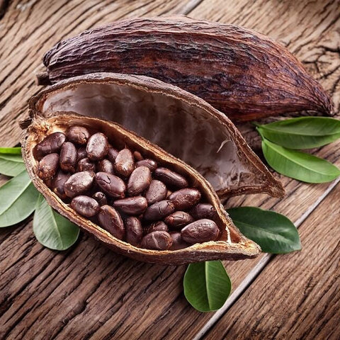 Ancestral Beans Chocolate Tasting - Tuesday, May 28 at 7 PM
