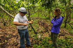 Goodnow Farms - Almendra Blanca 77% Dark Chocolate - Mexico