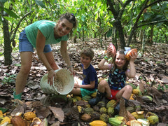 Goodnow Farms - "Classic" 55% Milk Chocolate - Dominican Republic