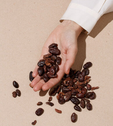 Chocolate Tasting "Learn How to Taste Chocolate + Trivia"  Sunday, March 29 @3pm