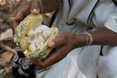 Chocolate Tasting: "Ancestral Beans" Chocolate Tasting - Tuesday, September 22nd at 6:30 PM