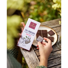 Domori - Trinitario 70% Dark Chocolate - Venezuela