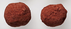 Two Guido Castagna Tartufi Gianduja truffles, showcasing their rich, dark chocolate exterior and smooth hazelnut filling.